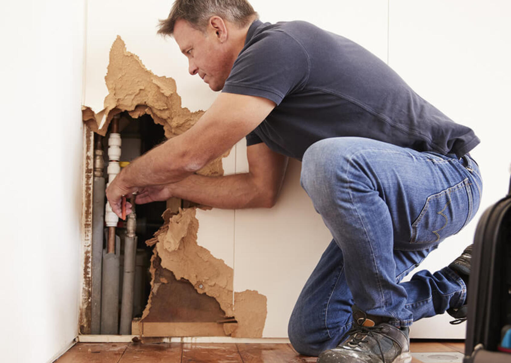 CALGARY MOLD PREVENTION & STRUCTURAL DRYING CALGARY MOLD PREVENTION & STRUCTURAL DRYING